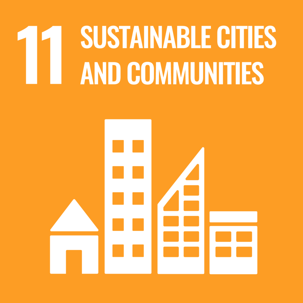 sdg11 4