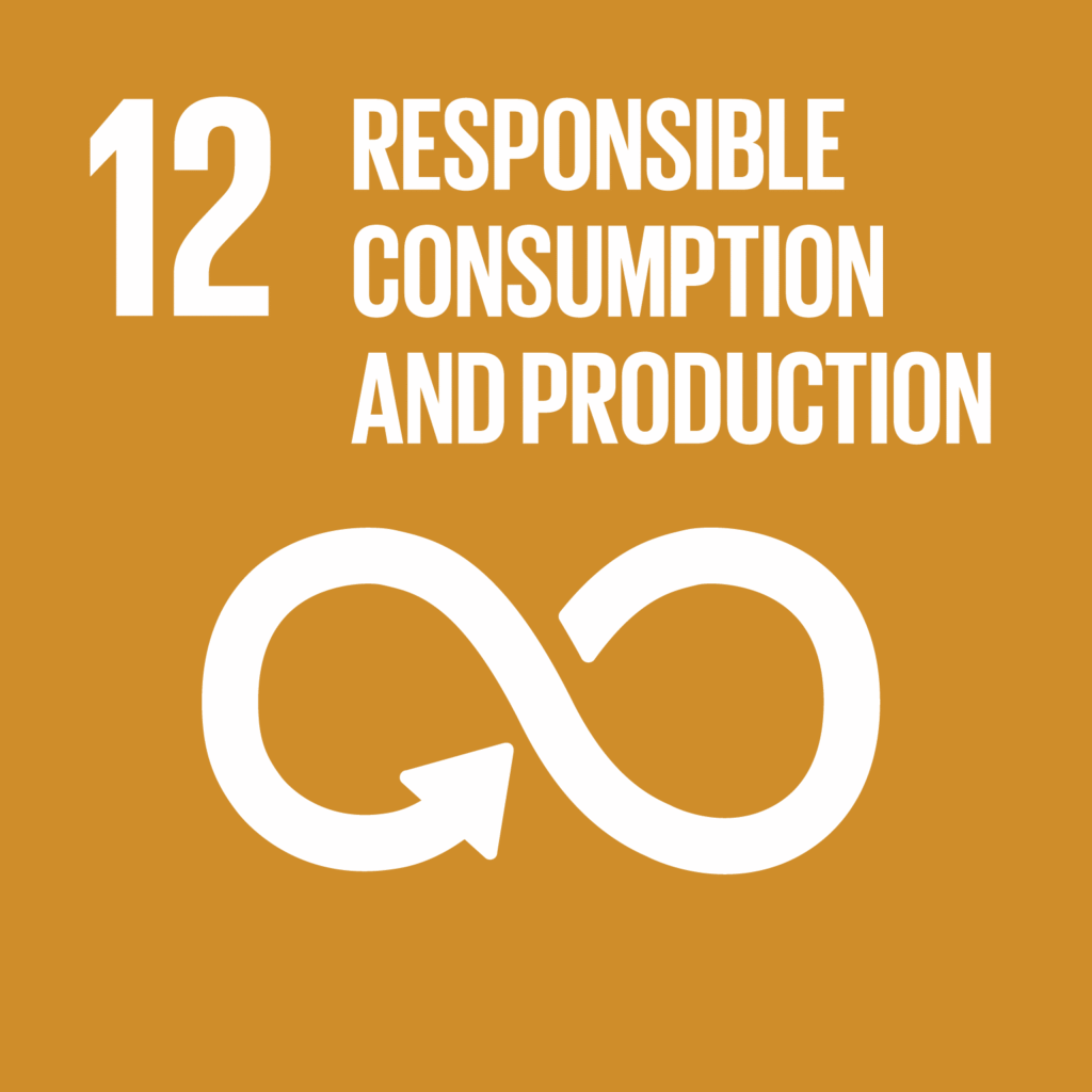 sdg12 3