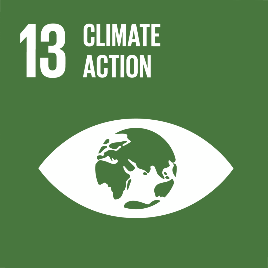 sdg13 3