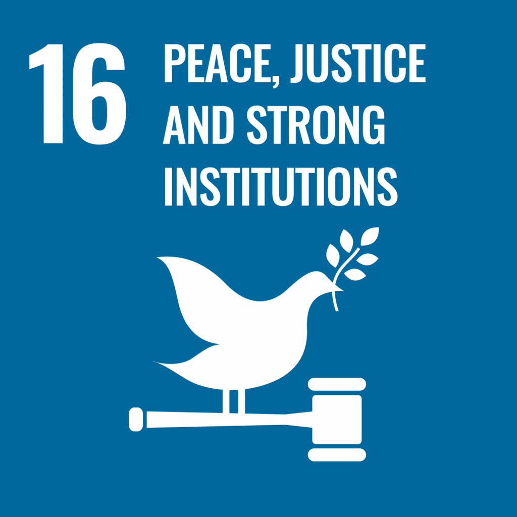 sdg16 3