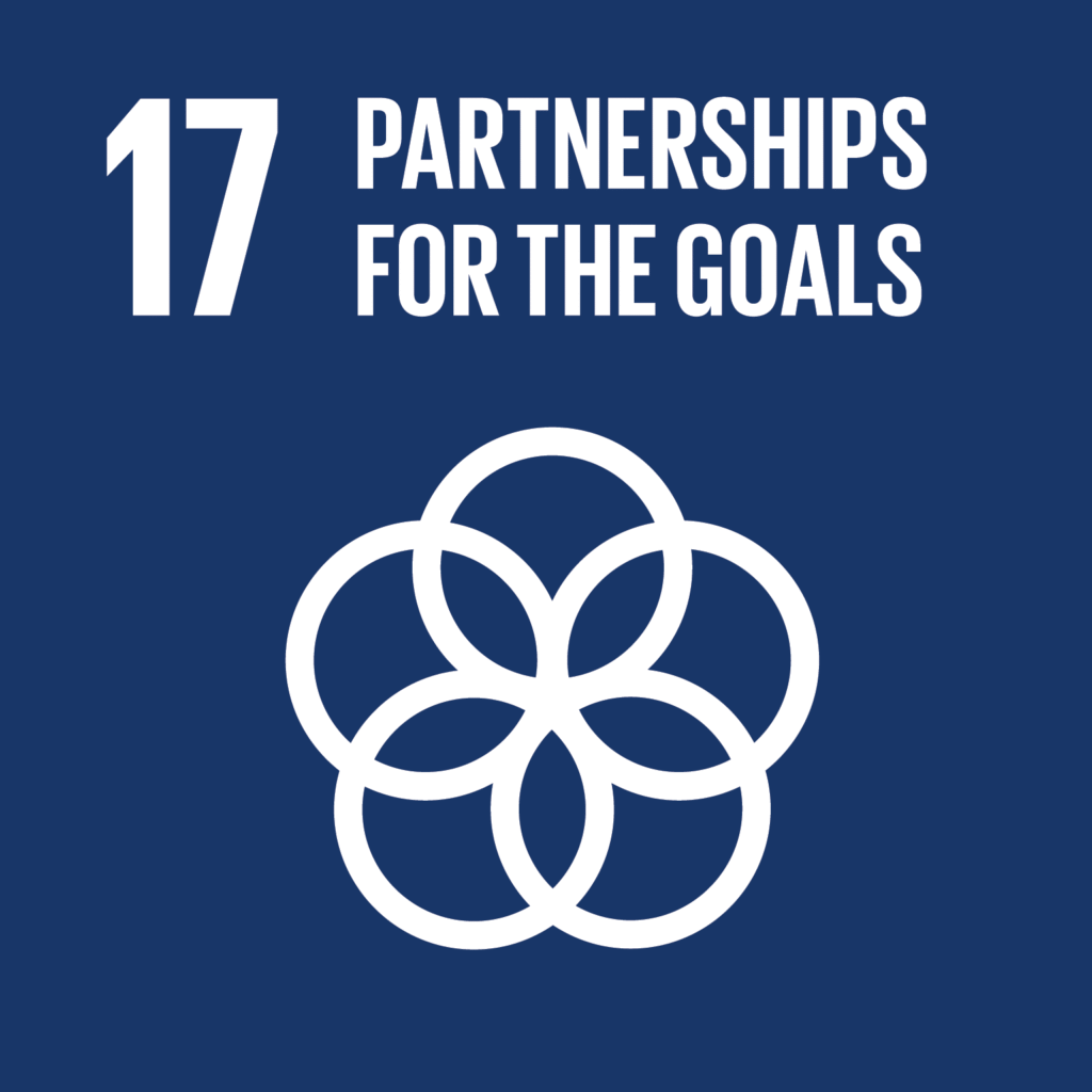 sdg17 3