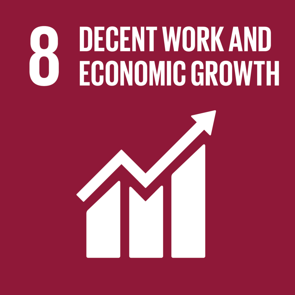 sdg8 3